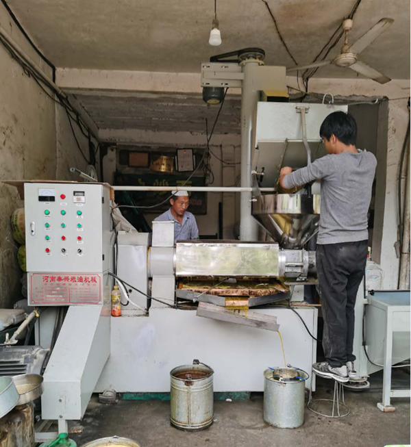 甘肃兰州榨油机安装案例
